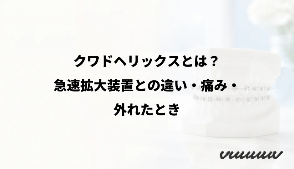 クワドヘリックスとは？急速拡大装置との違い・痛み・外れたとき