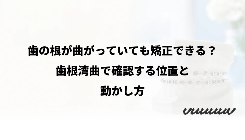 歯の根が曲がっていても矯正できる？歯根湾曲で確認する位置と動かし方