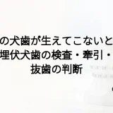 上の犬歯が生えてこないとき|埋伏犬歯の検査・牽引・抜歯の判断