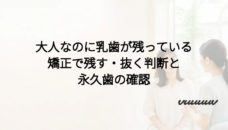 大人なのに乳歯が残っている｜矯正で残す・抜く判断と永久歯の確認